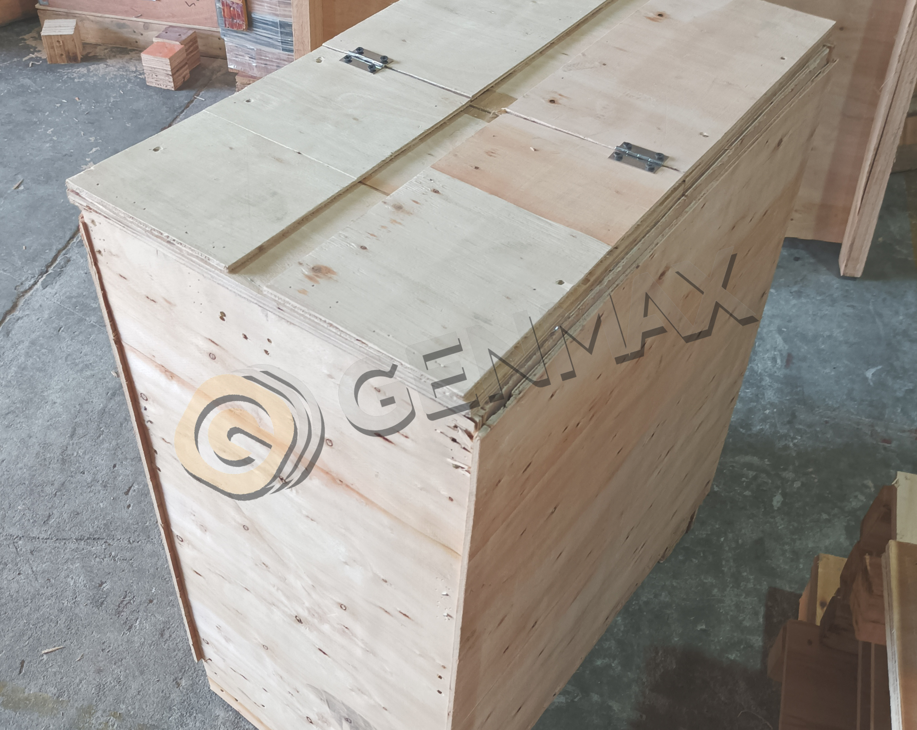 GENMAX+ГУБКА МАШИНА (5)