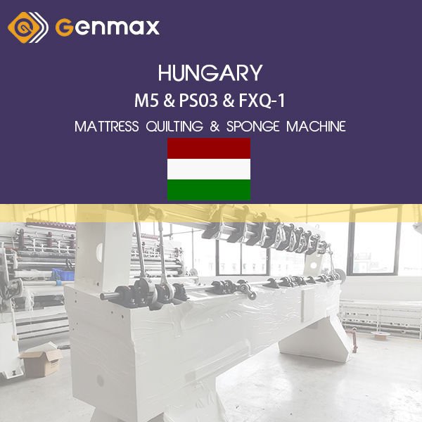 ВЕНГРИЯ-M5&PS03&FXQ1-МАТРАС ПРОШИВКА И ГУБКА МАШИНА